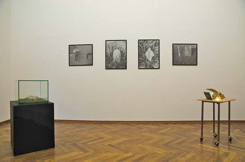 Jana Želibská - Exhibition view